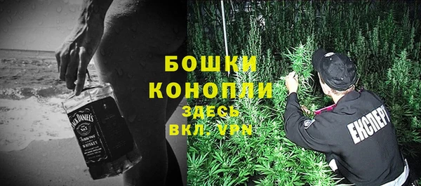 трава Гусиноозёрск