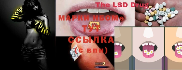 трава Гусиноозёрск