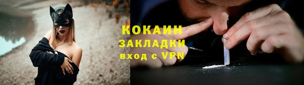 трава Гусиноозёрск