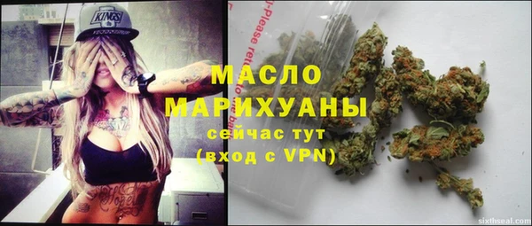 эйфоретик Гусев