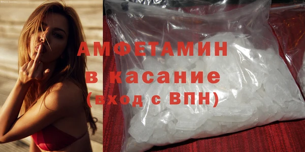 трава Гусиноозёрск