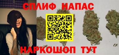 альфа пвп Гатчина
