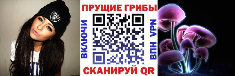 мега как войти  Минеральные Воды  Псилоцибиновые грибы ЛСД  купить наркотик 