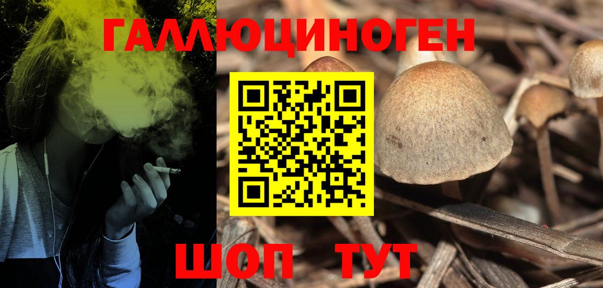 Псилоцибиновые грибы ЛСД  Псилоцибиновые грибы Cubensis  Вход с VPN  Минеральные Воды 