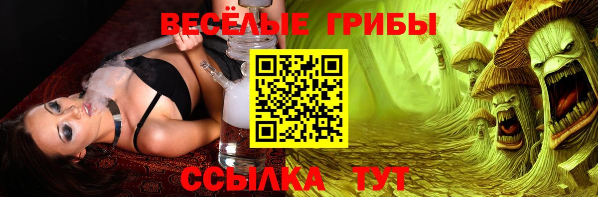 Псилоцибиновые грибы прущие грибы  купить наркотики сайты  Минеральные Воды 